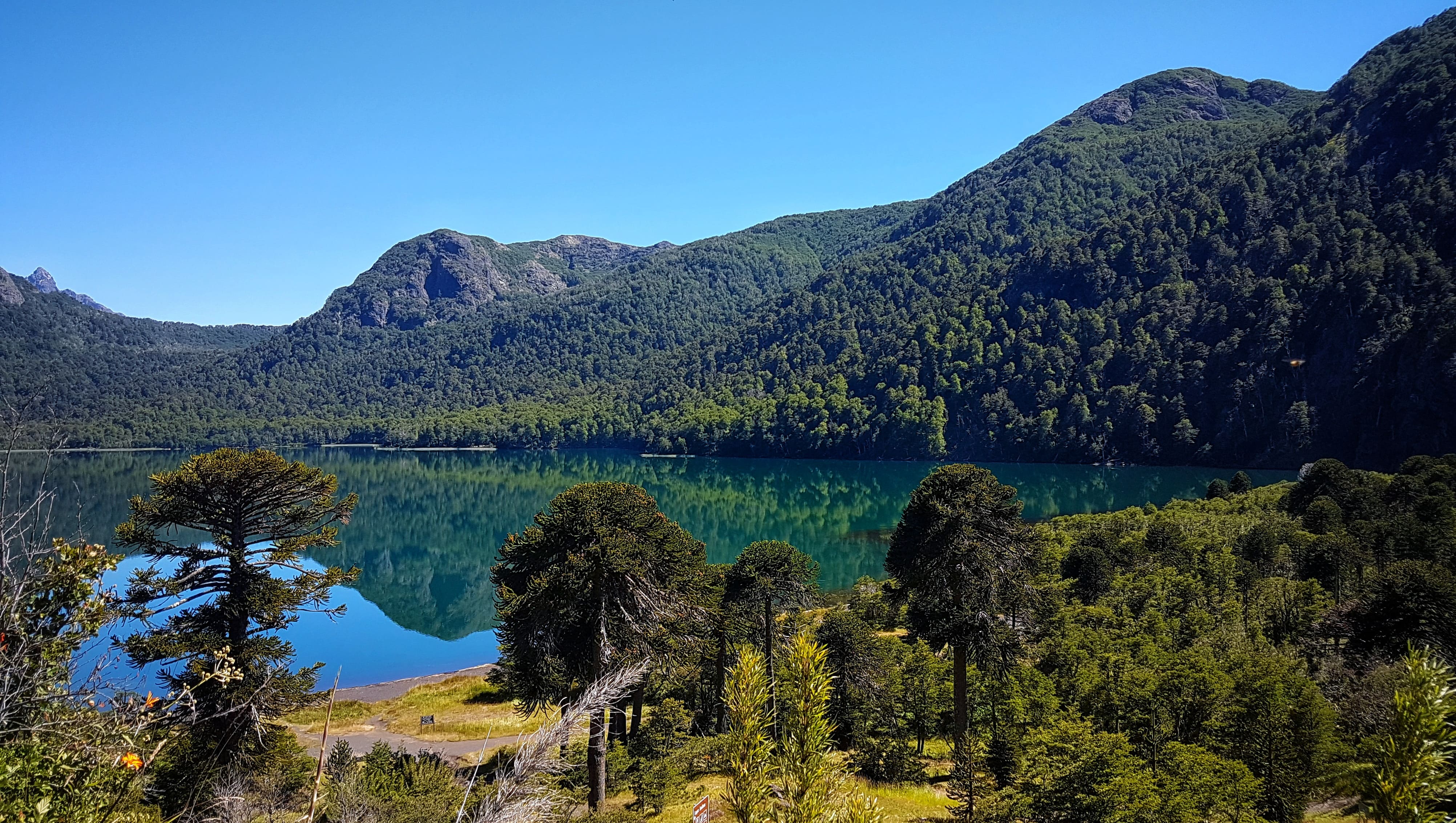 Parque Nacional Villarrica
